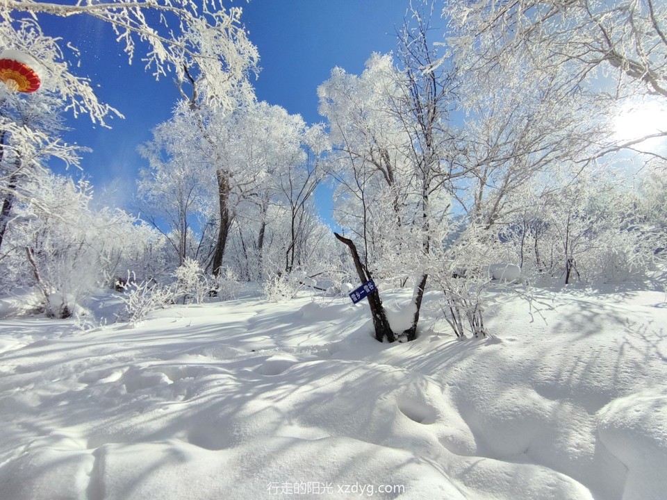 mmexport1705462960324_edit_1114974077419446