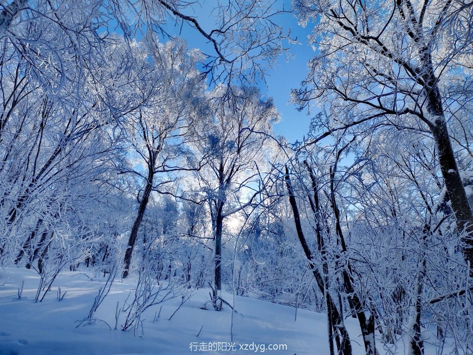 mmexport1705462857938_edit_1114996626229859