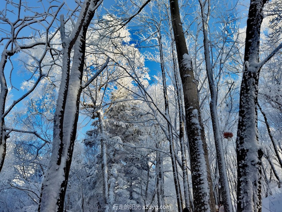 IMG_20240113_102900_edit_948473031899539