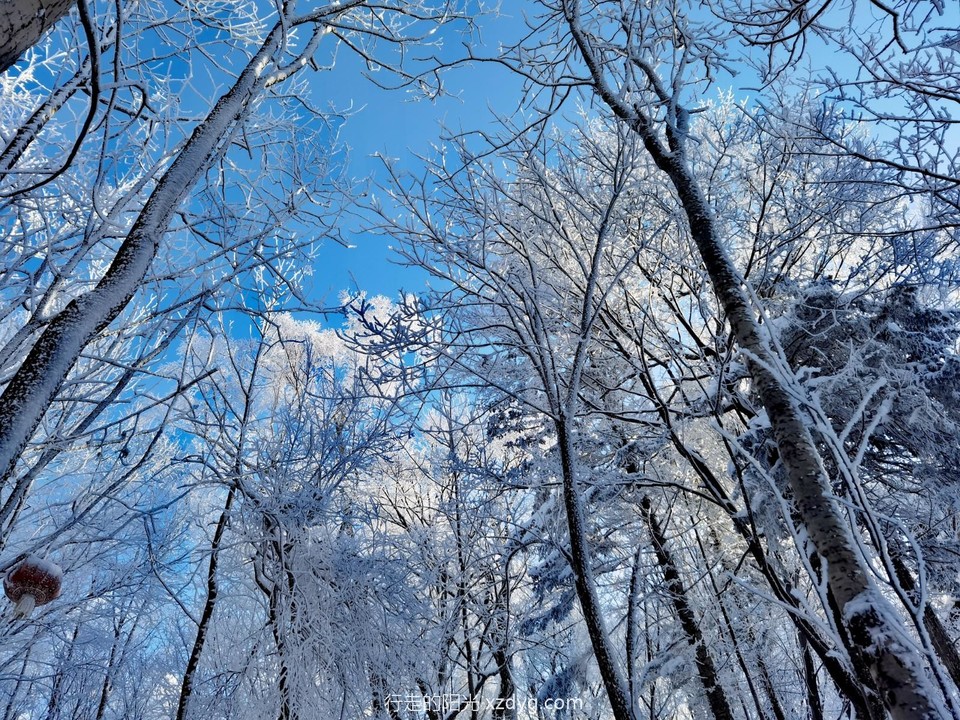 IMG_20240113_102930_edit_948425593291213