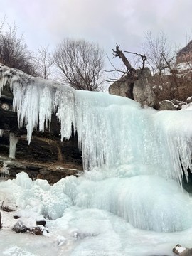 mmexport1705746082797_edit_1260446858783186