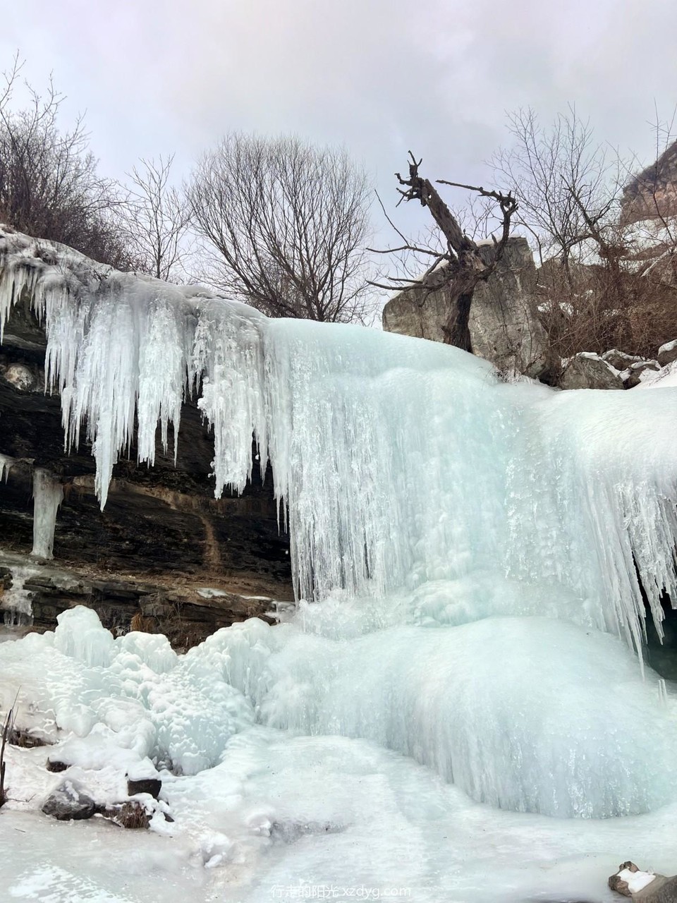 mmexport1705746082797_edit_1260446858783186