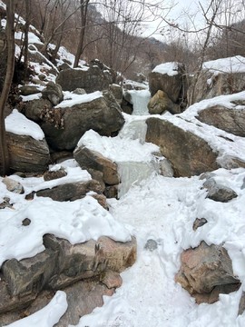 mmexport1705746099140_edit_1260422290119648