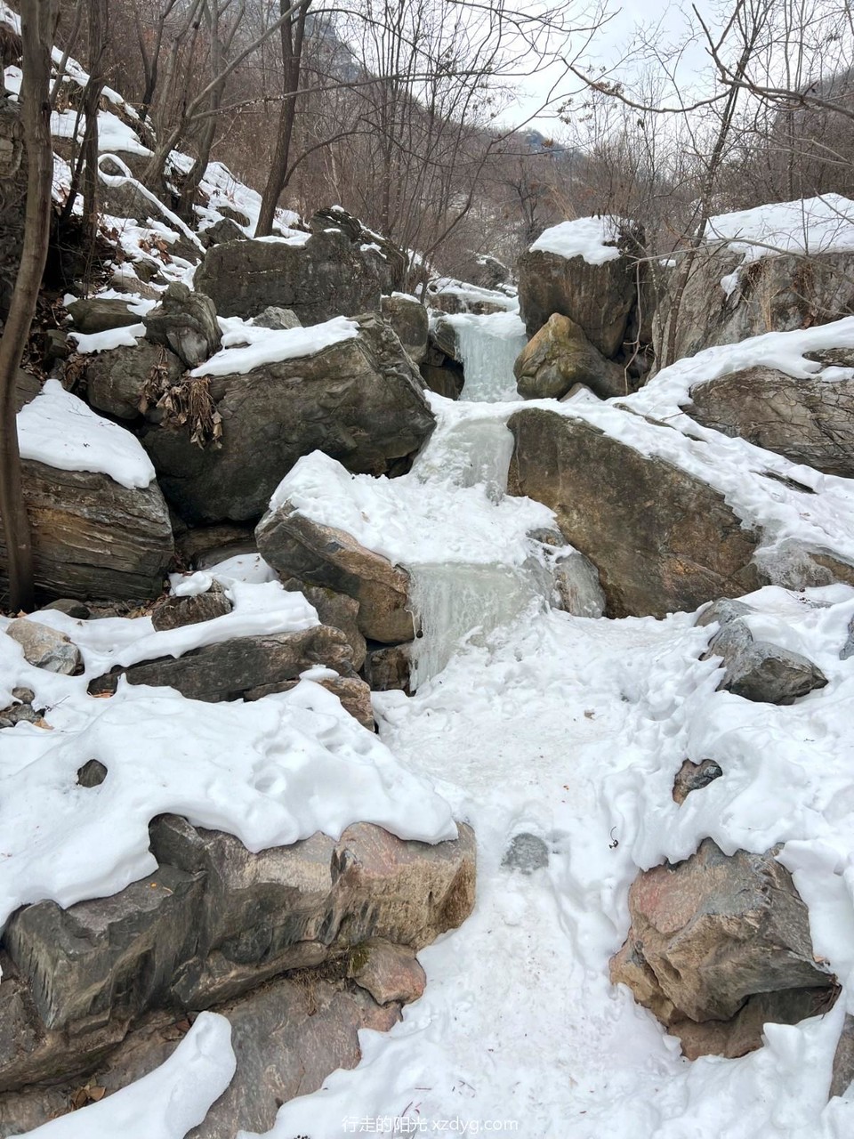 mmexport1705746099140_edit_1260422290119648