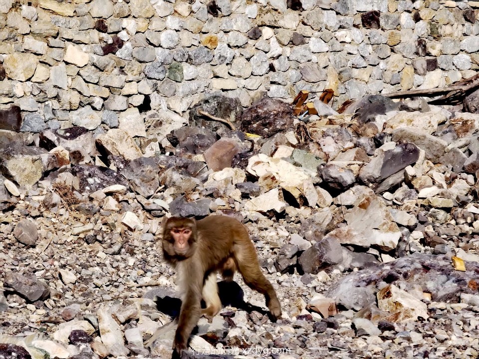 mmexport1706406578854_edit_92407372337461