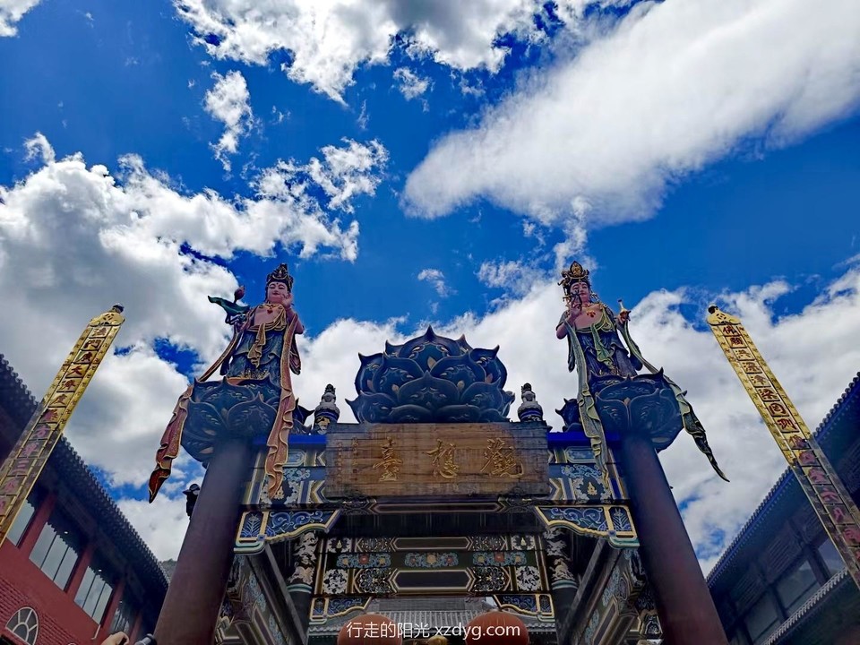 mmexport1708186992969_edit_883153489799615