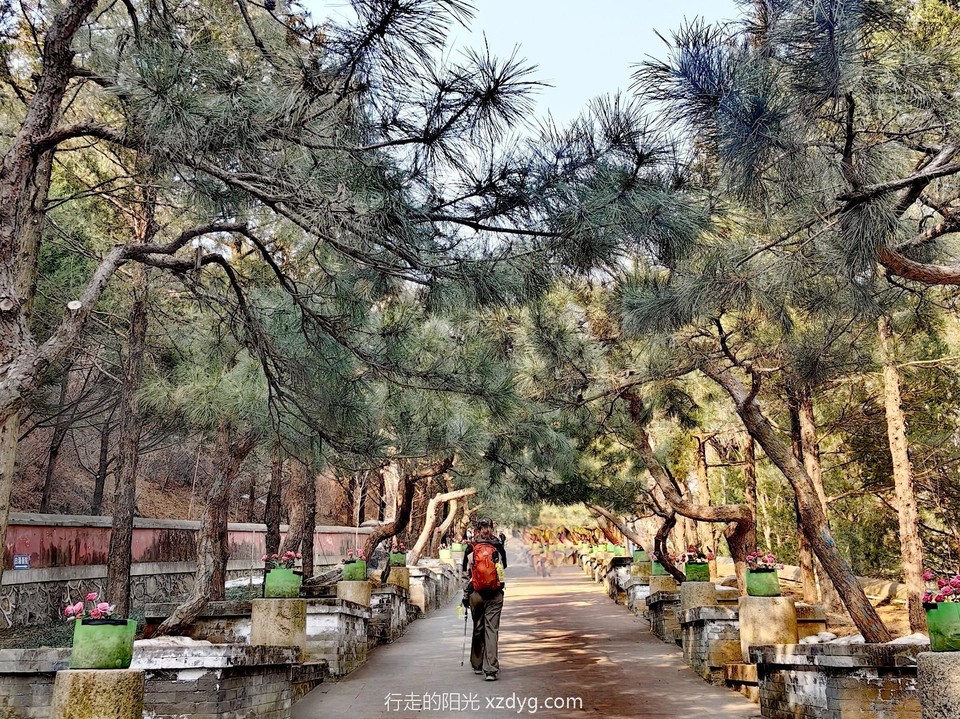 mmexport1708180079505_edit_882439965557536