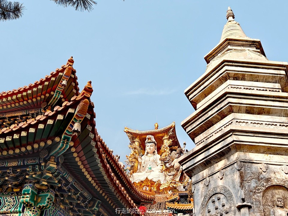 mmexport1708180104257_edit_882431202487225