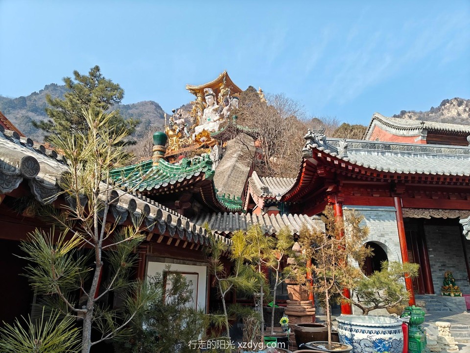 mmexport1708180126268_edit_882422577548685