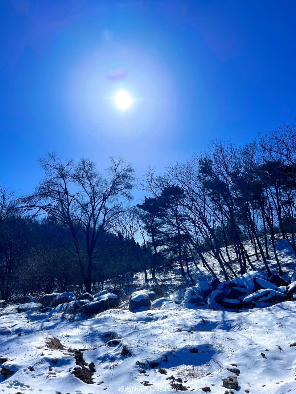 MTXX_MH20240227_100208403