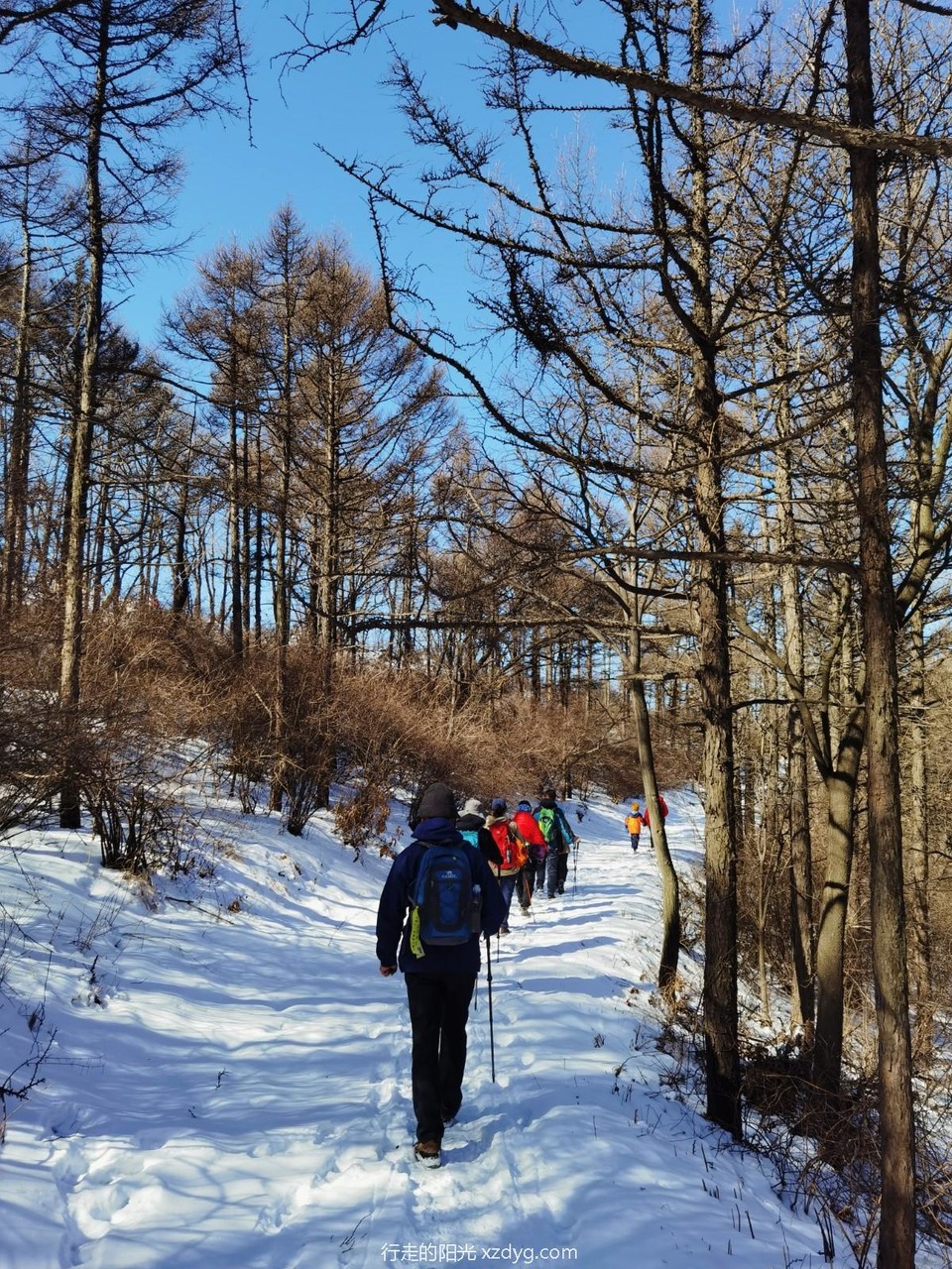 MTXX_MH20240225_155615436