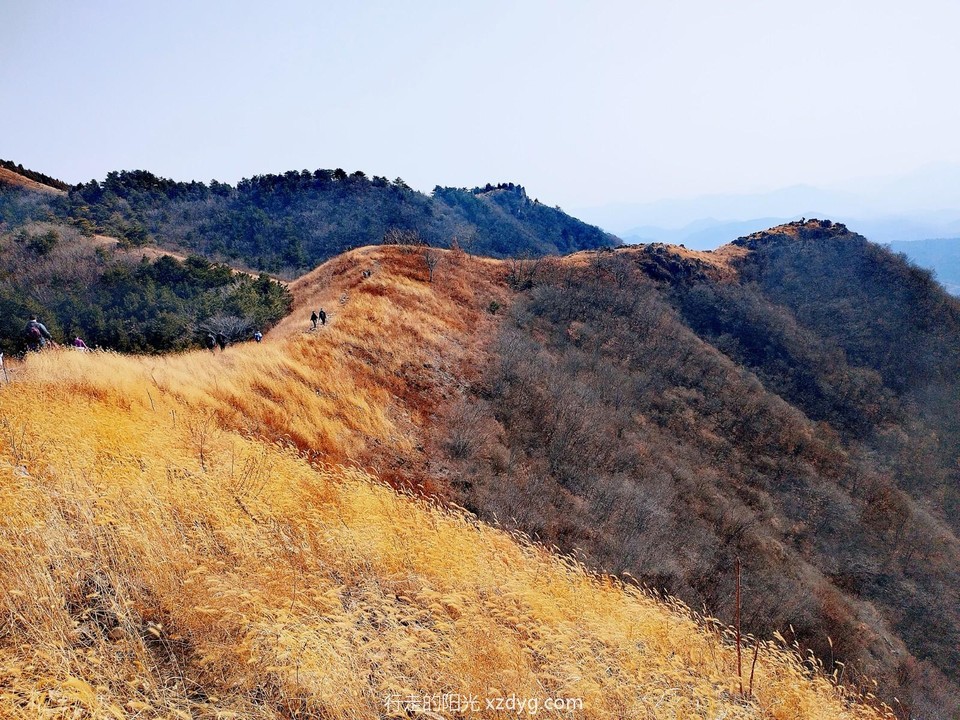 MTXX_MH20240310_183457177