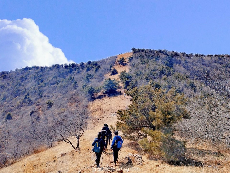 MTXX_MH20240310_183329162