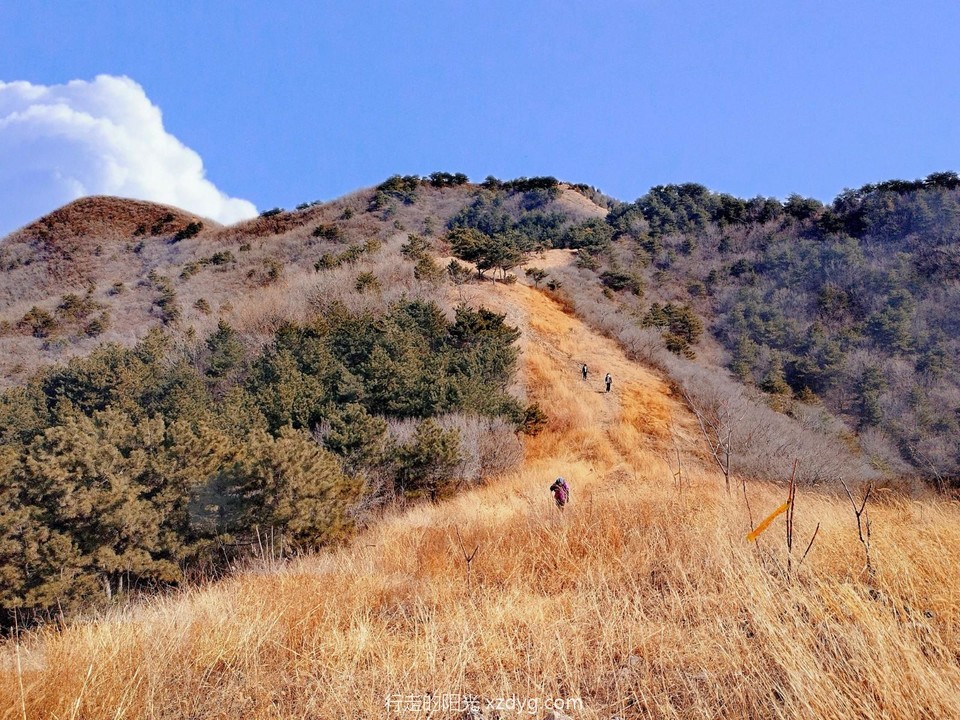 MTXX_MH20240310_183402177