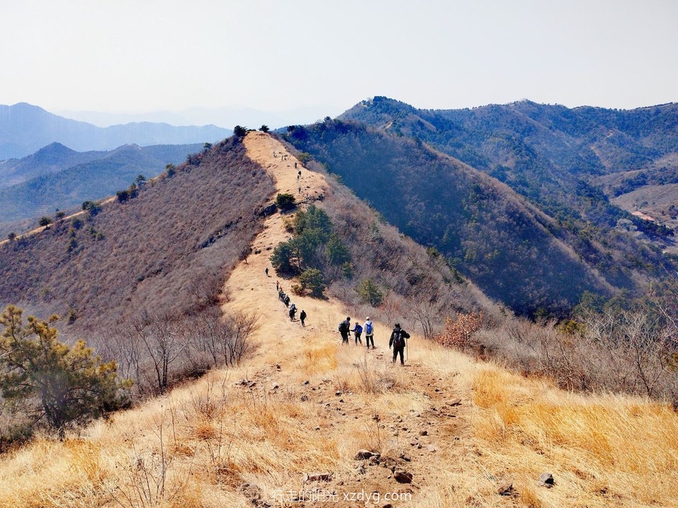 MTXX_MH20240310_183140647