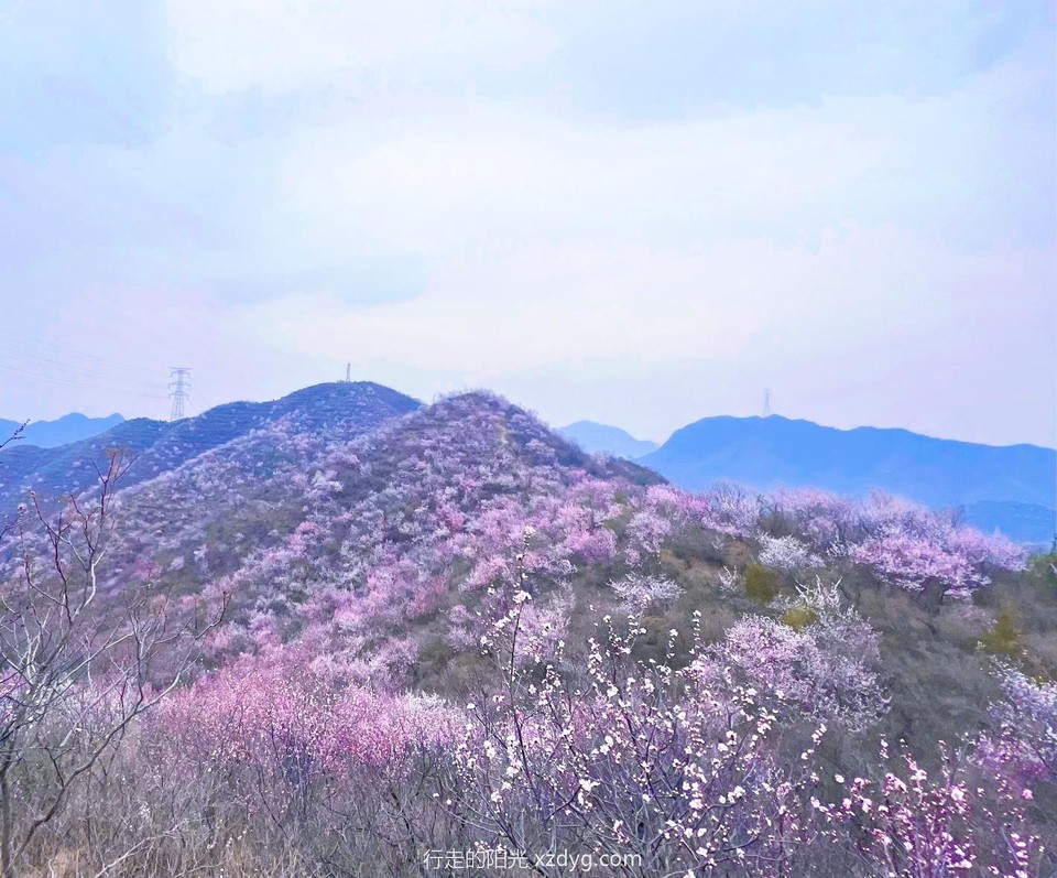 MTXX_MH20240324_203824472