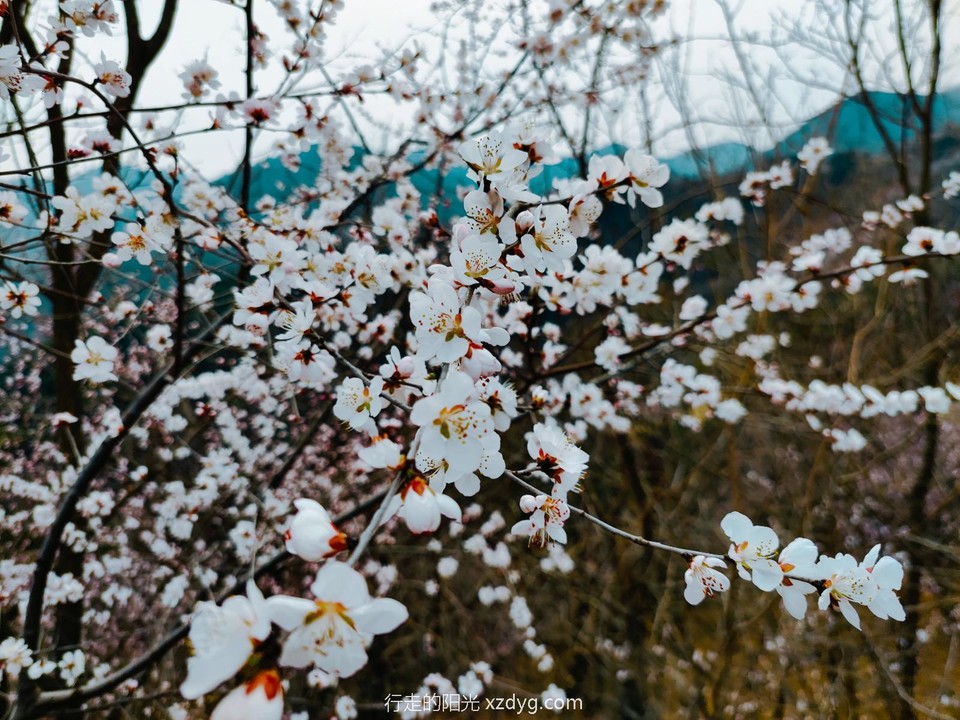 mmexport1711282261283