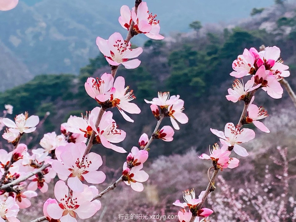 mmexport1711282276995