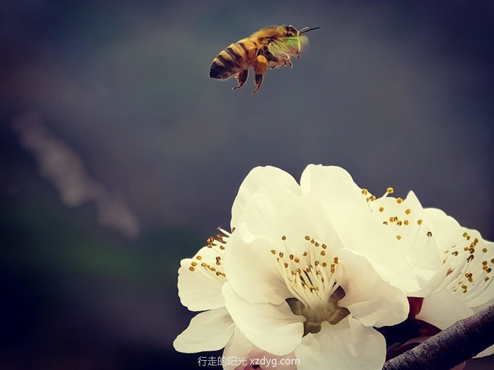 mmexport1711282250811