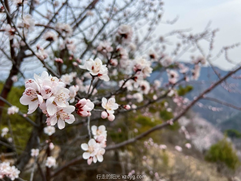 mmexport1711282130811