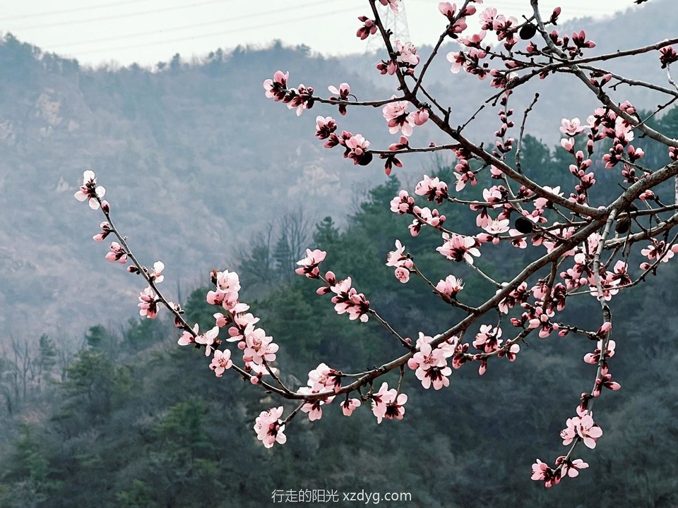 mmexport1711282144779