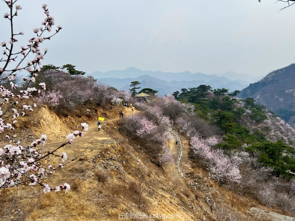 mmexport1711282109568