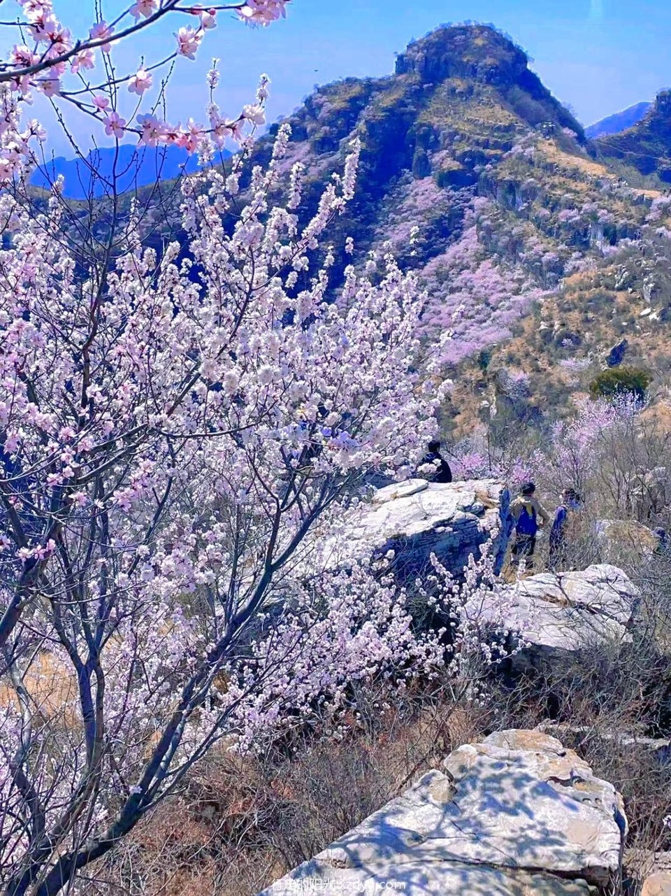 MTXX_MH20240331_151104215