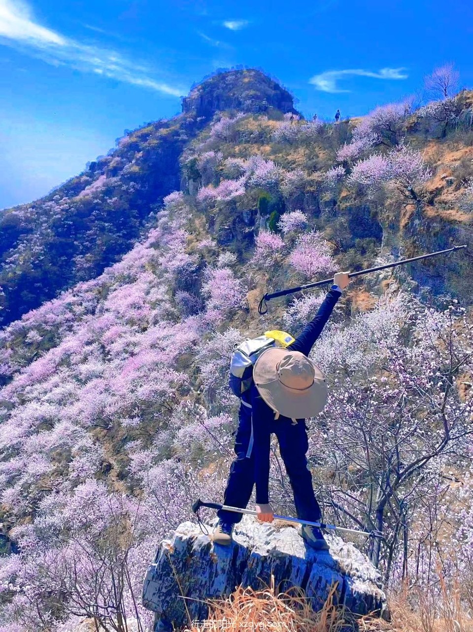 MTXX_MH20240331_151032401