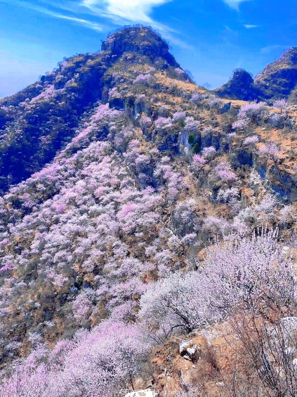 MTXX_MH20240331_151011950