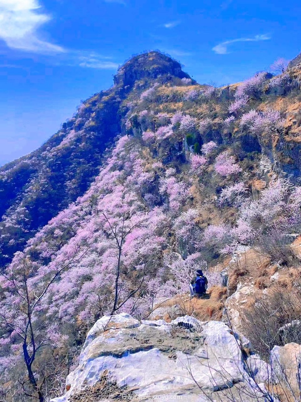 MTXX_MH20240331_151048943