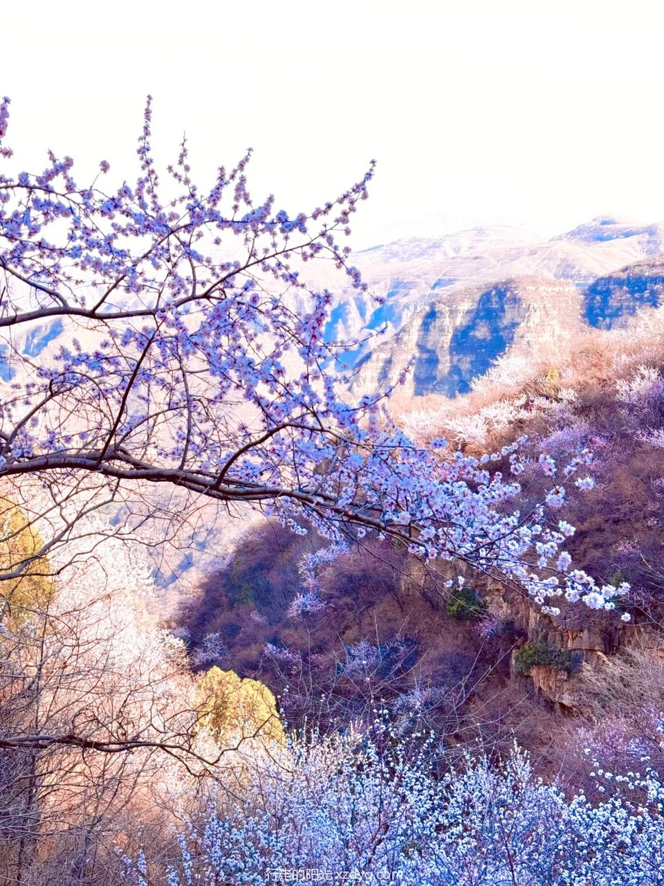 MTXX_MH20240331_151150800