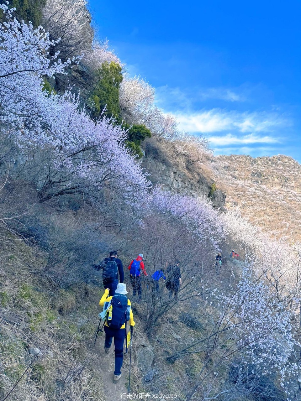 MTXX_MH20240331_151212944