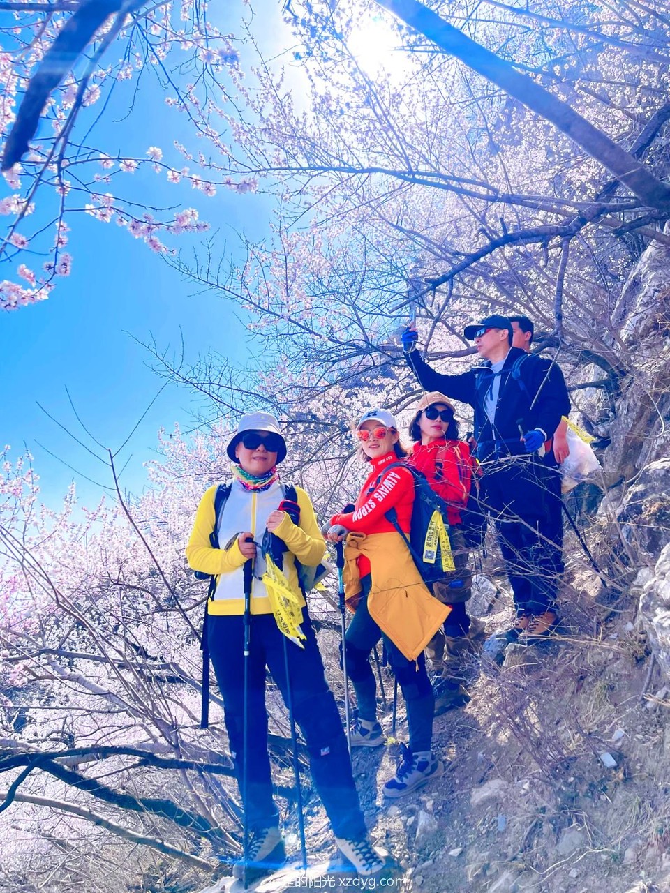 MTXX_MH20240331_151310649