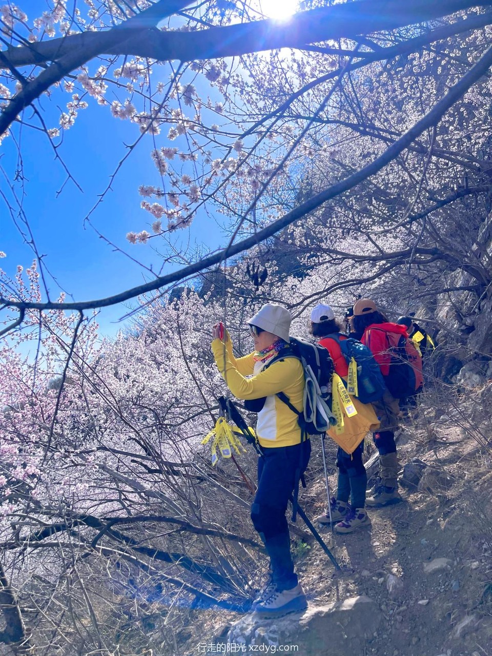 MTXX_MH20240331_151327385