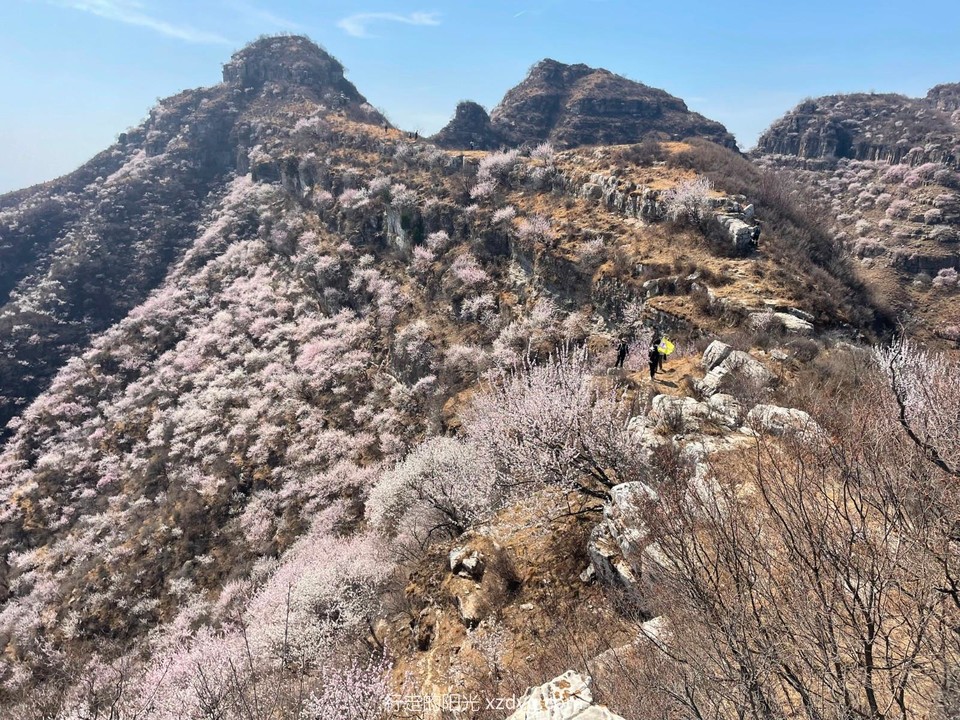 mmexport1711868412052