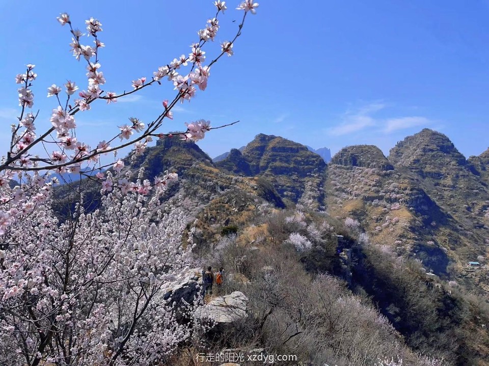 mmexport1711868361818