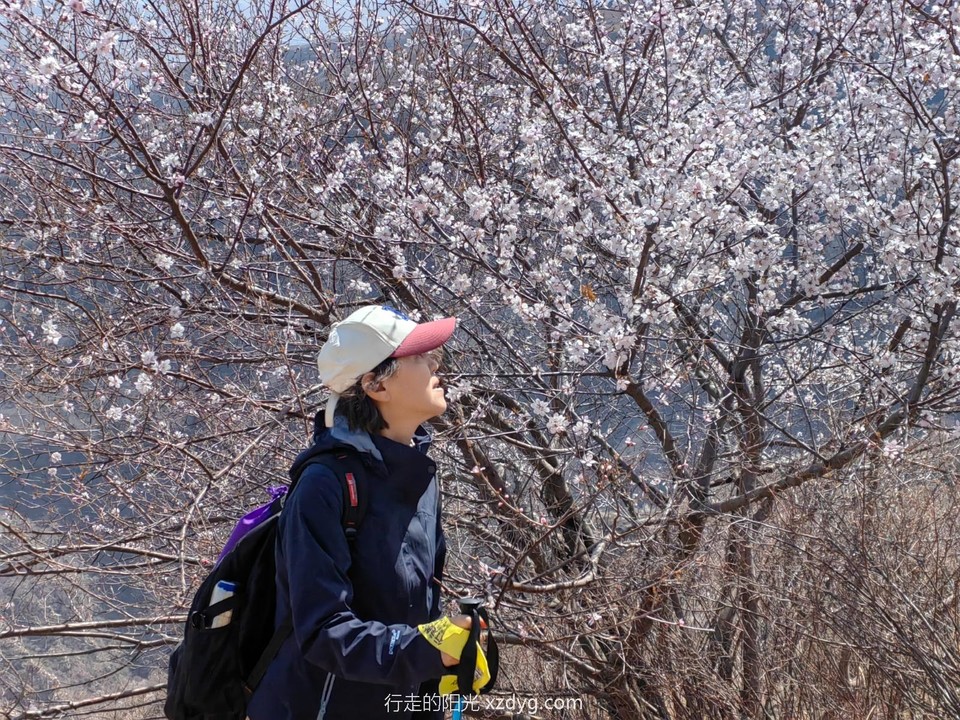 mmexport1711868379863