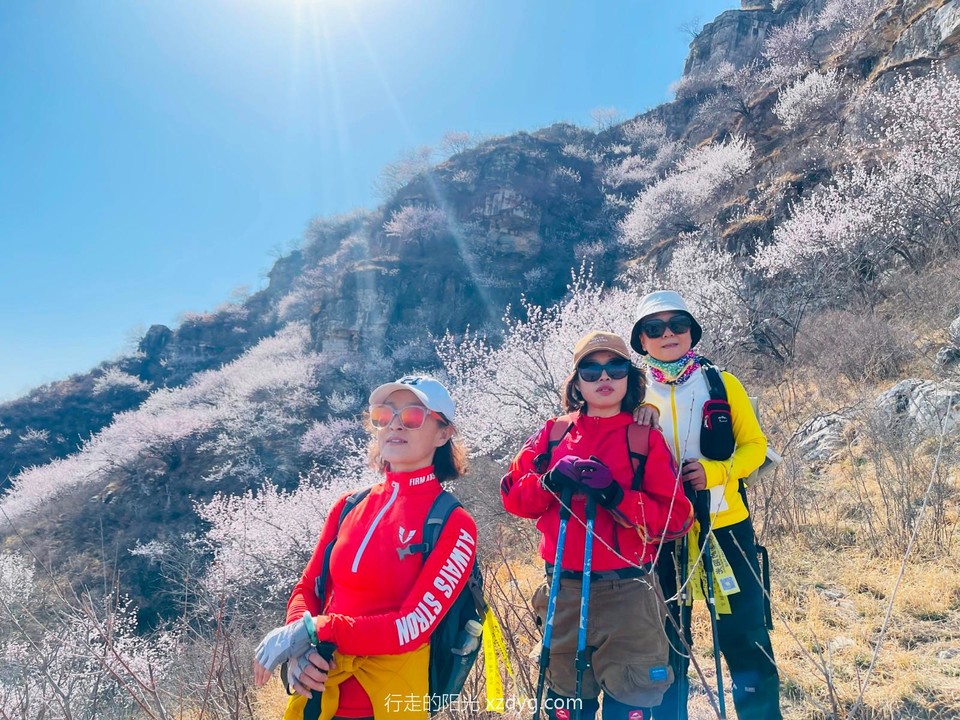 mmexport1711868287945