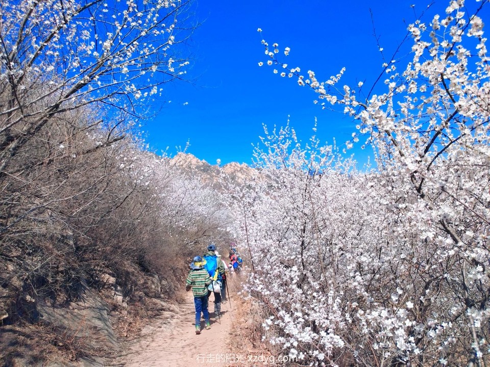 MTXX_MH20240330_215445694