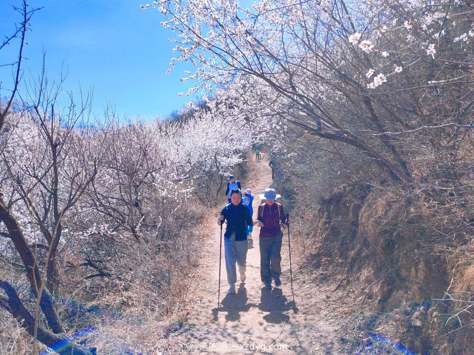 MTXX_MH20240330_215722071