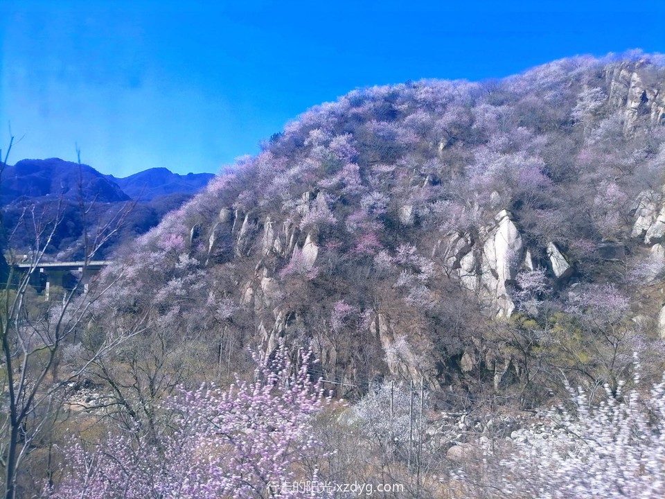 MTXX_MH20240331_082054234