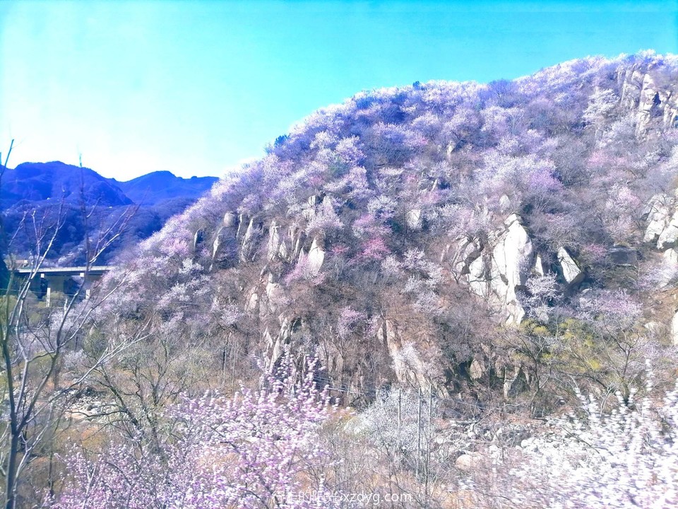 MTXX_MH20240331_082202195