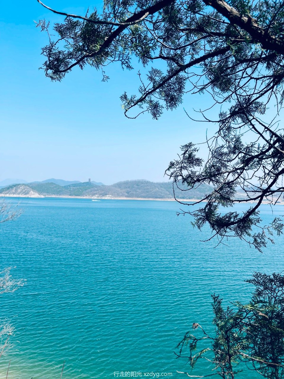 mmexport1712392162477