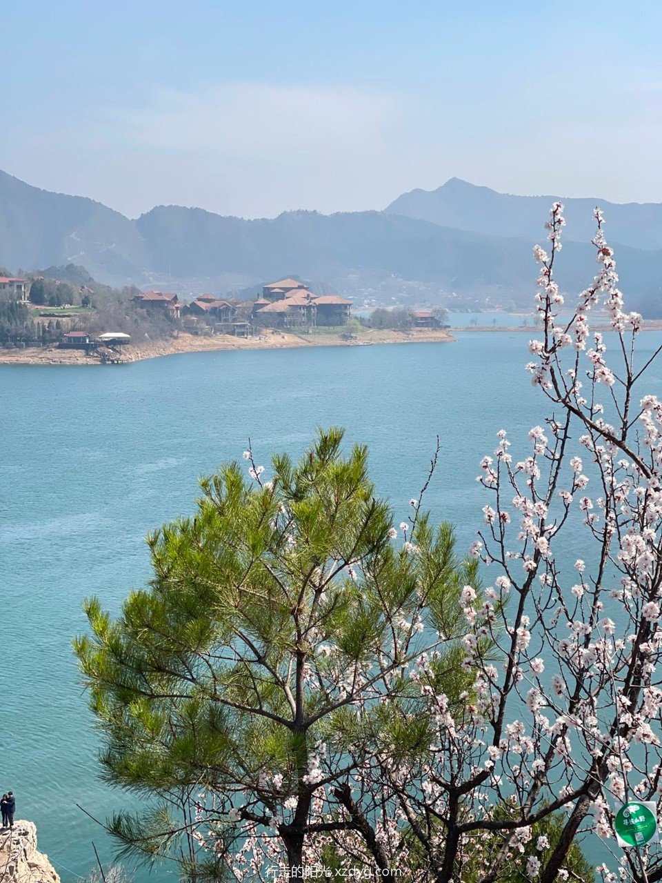 mmexport1712392152451