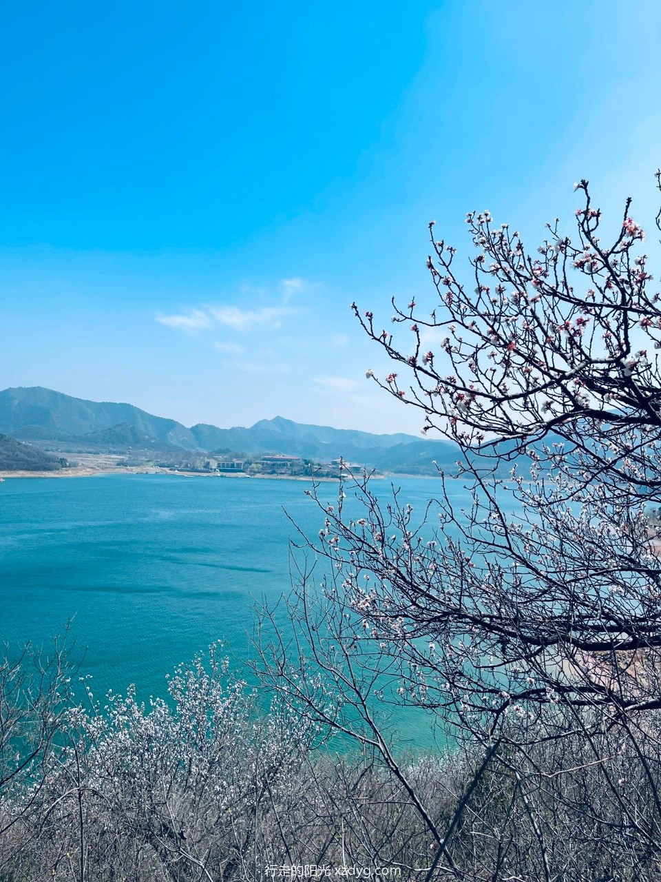 mmexport1712392124660