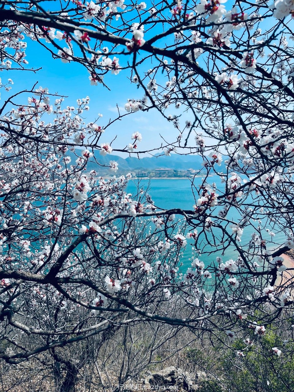 mmexport1712392135469