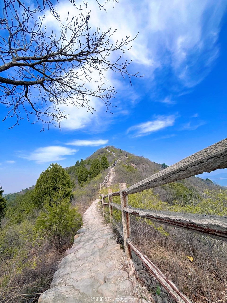 MTXX_MH20240406_174526088