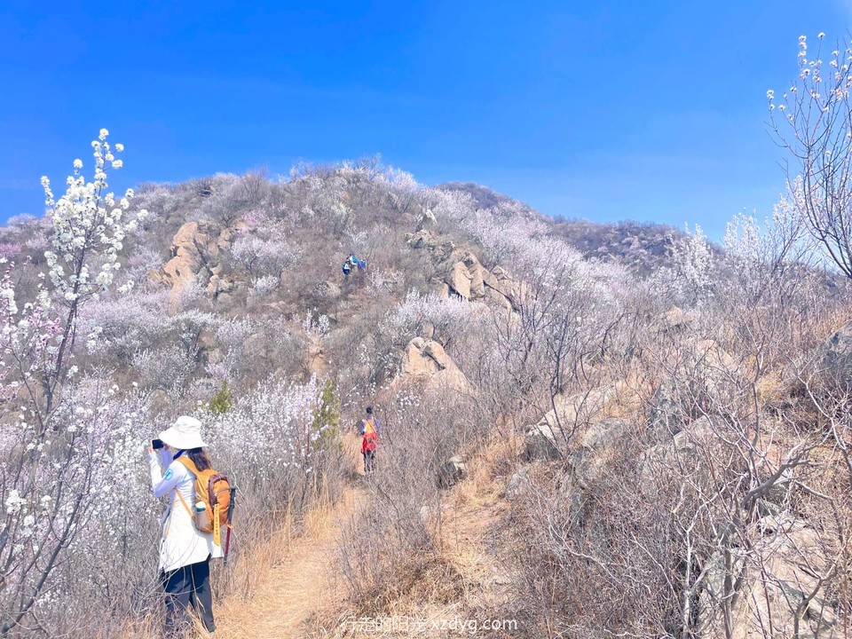 MTXX_MH20240407_110730192