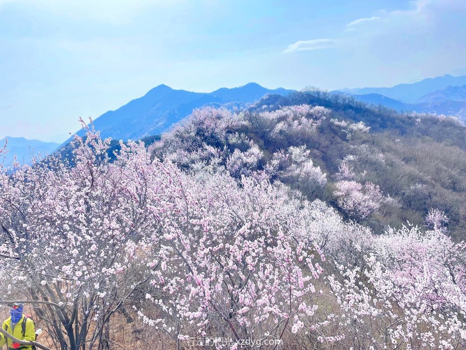 MTXX_MH20240407_110509612