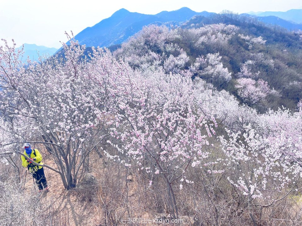 MTXX_MH20240407_110523233